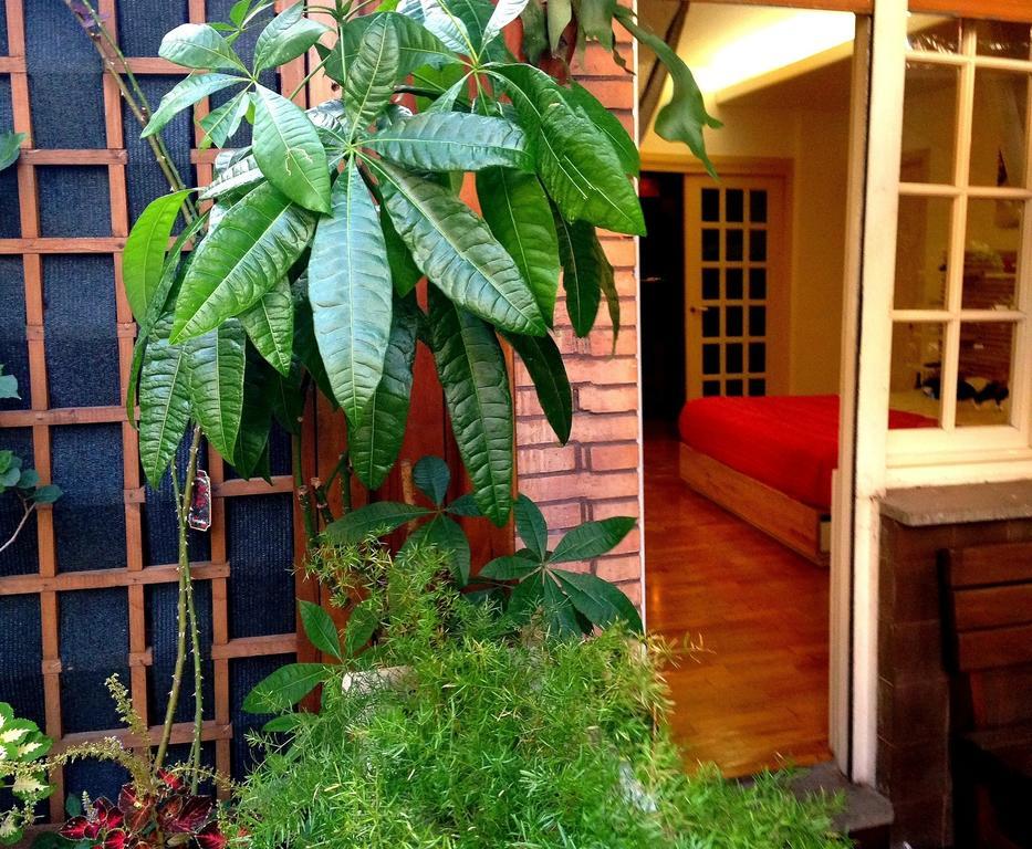 Guest House Il Limone Nascosto Roma Quarto foto